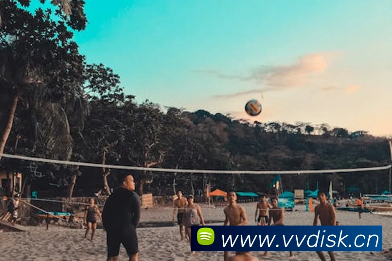 大阳城集团资料大全平台生态图